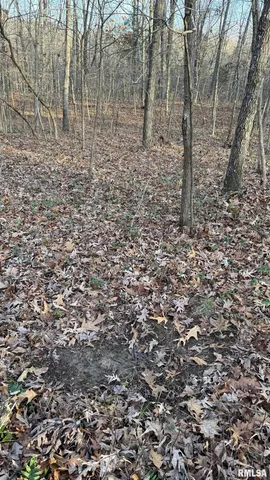 $390,000 | 0 Route 166 Route, Creal Springs, IL 62922