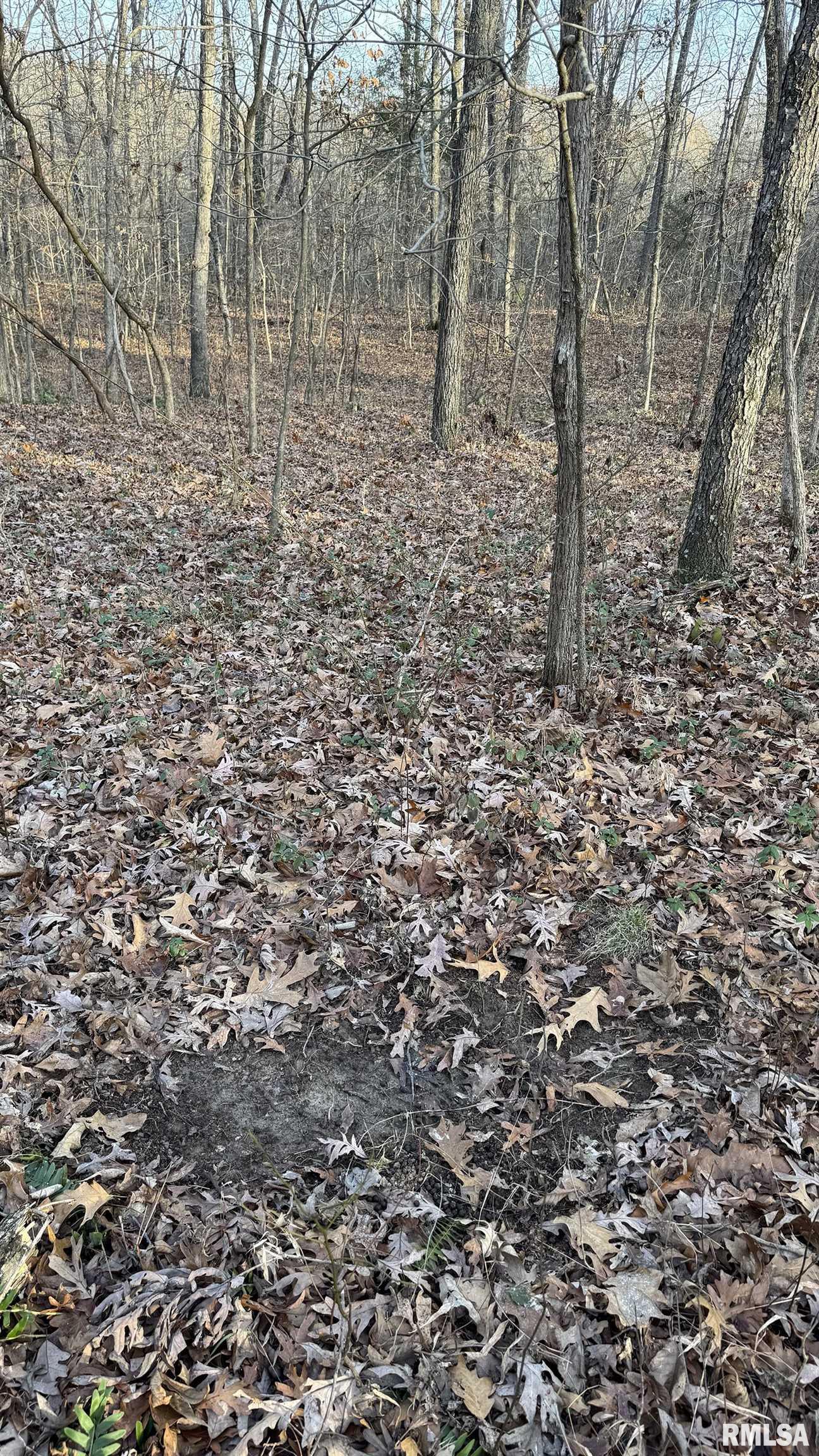 0 Route 166 Route Creal Springs, IL 62922 - Photo 38 of 53