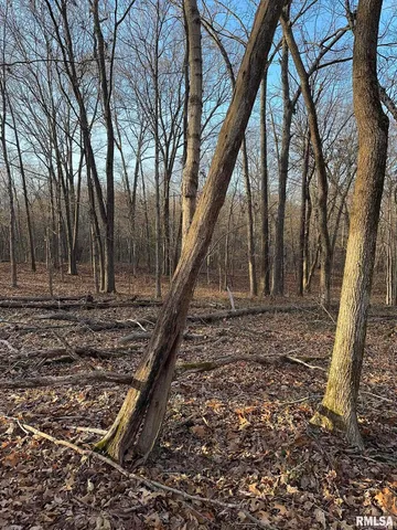 $390,000 | 0 Route 166 Route, Creal Springs, IL 62922