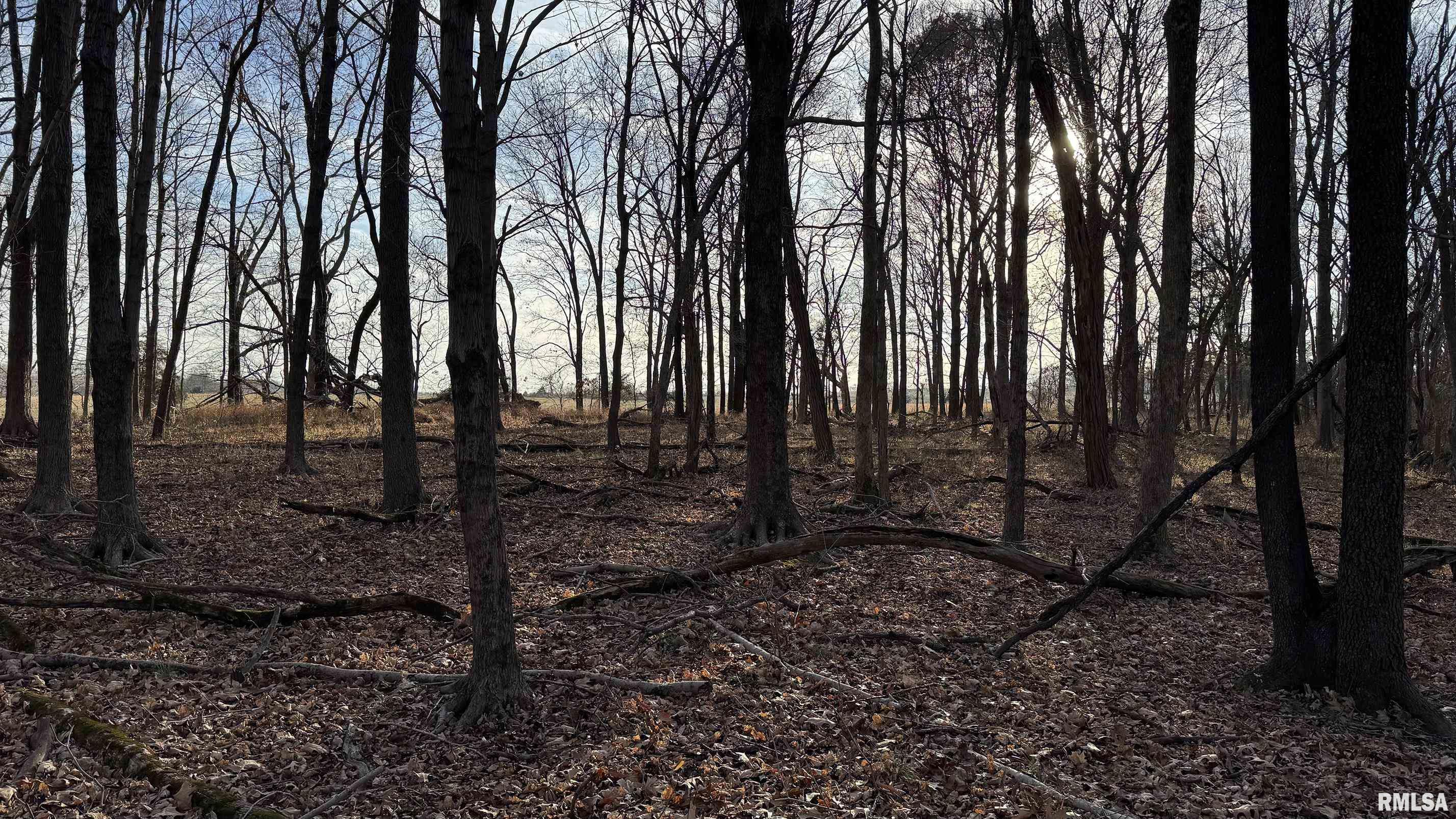 0 Route 166 Route Creal Springs, IL 62922 - Photo 40 of 53