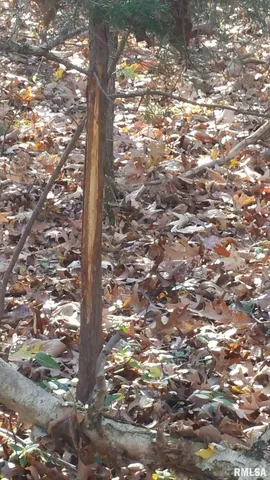 $390,000 | 0 Route 166 Route, Creal Springs, IL 62922