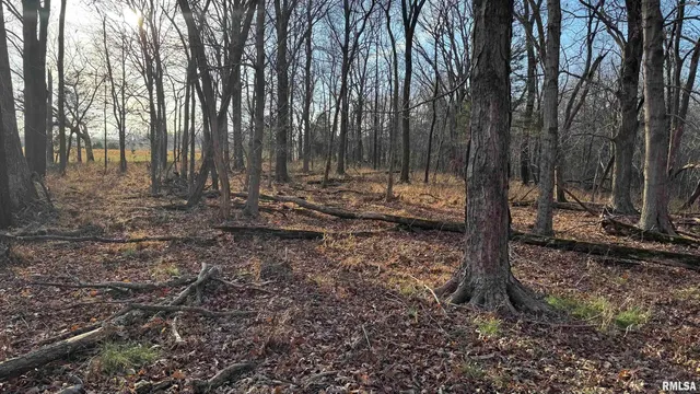 $390,000 | 0 Route 166 Route, Creal Springs, IL 62922