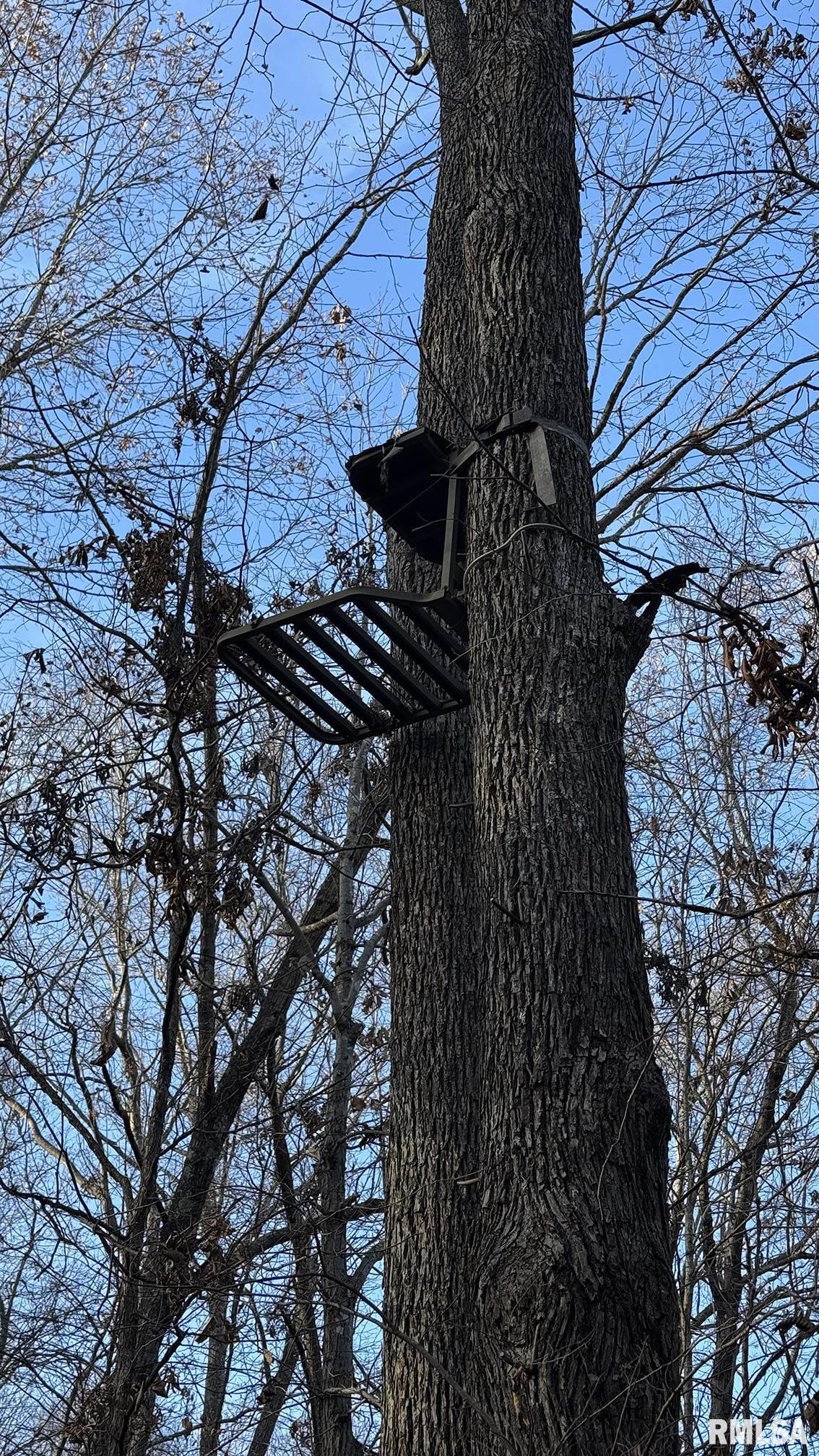 0 Route 166 Route Creal Springs, IL 62922 - Photo 43 of 53