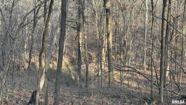 $390,000 | 0 Route 166 Route, Creal Springs, IL 62922