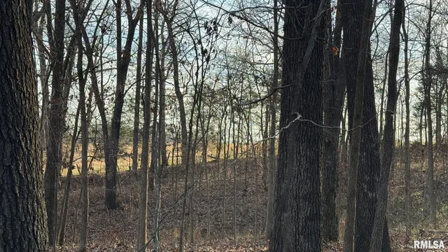 $390,000 | 0 Route 166 Route, Creal Springs, IL 62922