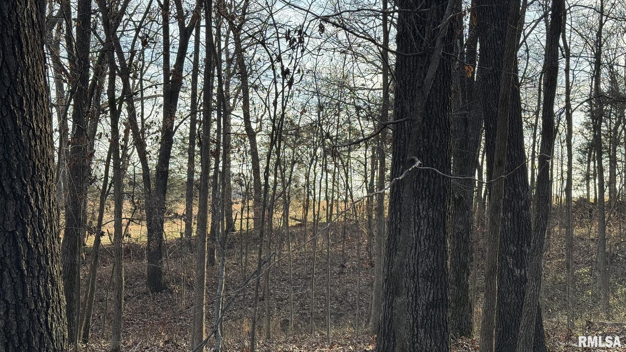 0 Route 166 Route Creal Springs, IL 62922 - Photo 45 of 53