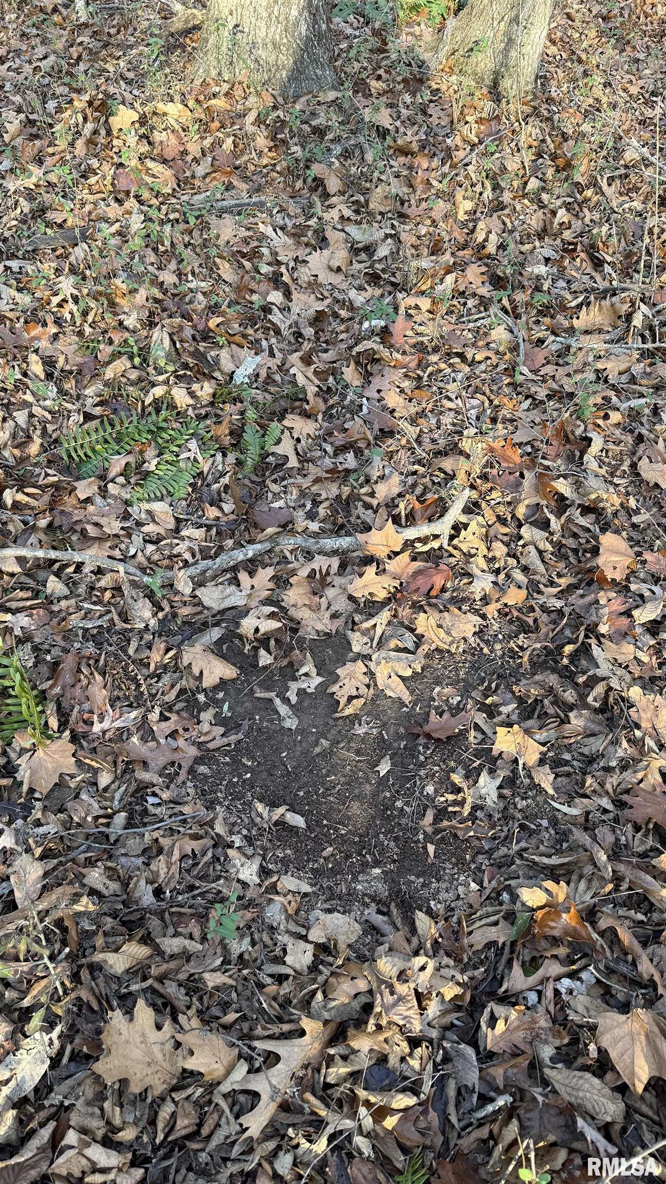 0 Route 166 Route Creal Springs, IL 62922 - Photo 46 of 53