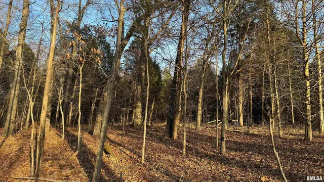 $390,000 | 0 Route 166 Route, Creal Springs, IL 62922