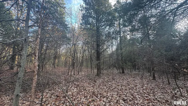 $390,000 | 0 Route 166 Route, Creal Springs, IL 62922