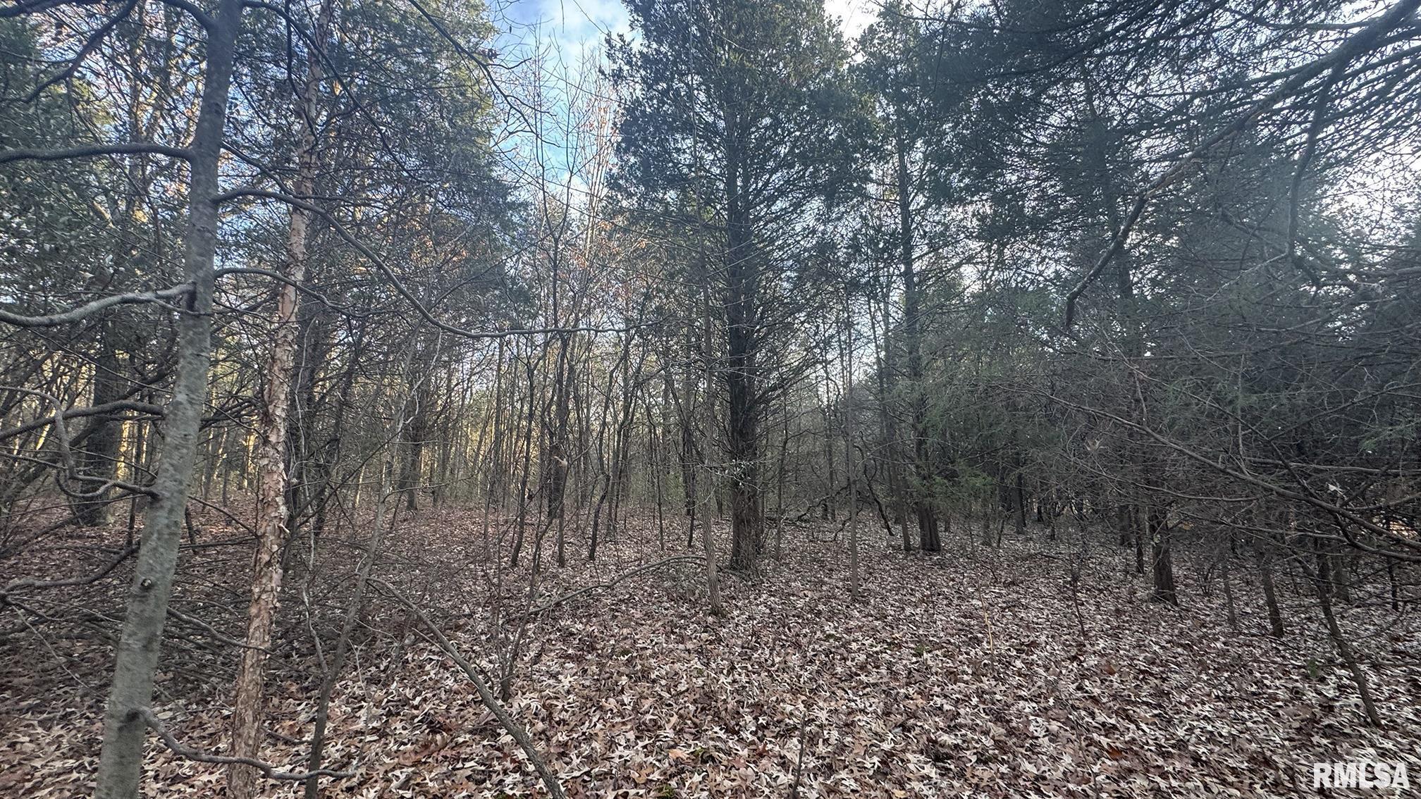 0 Route 166 Route Creal Springs, IL 62922 - Photo 51 of 53