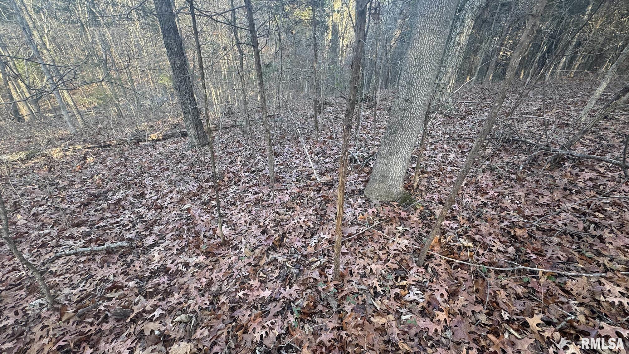 0 Route 166 Route Creal Springs, IL 62922 - Photo 52 of 53