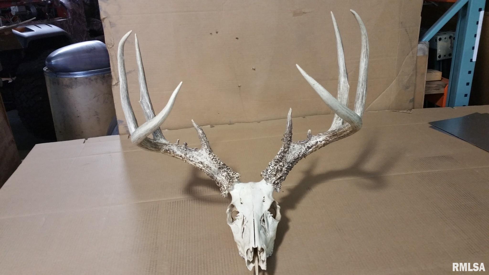 0 Route 166 Route Creal Springs, IL 62922 - Photo 6 of 53