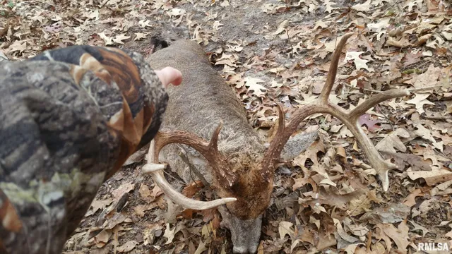 $390,000 | 0 Route 166 Route, Creal Springs, IL 62922