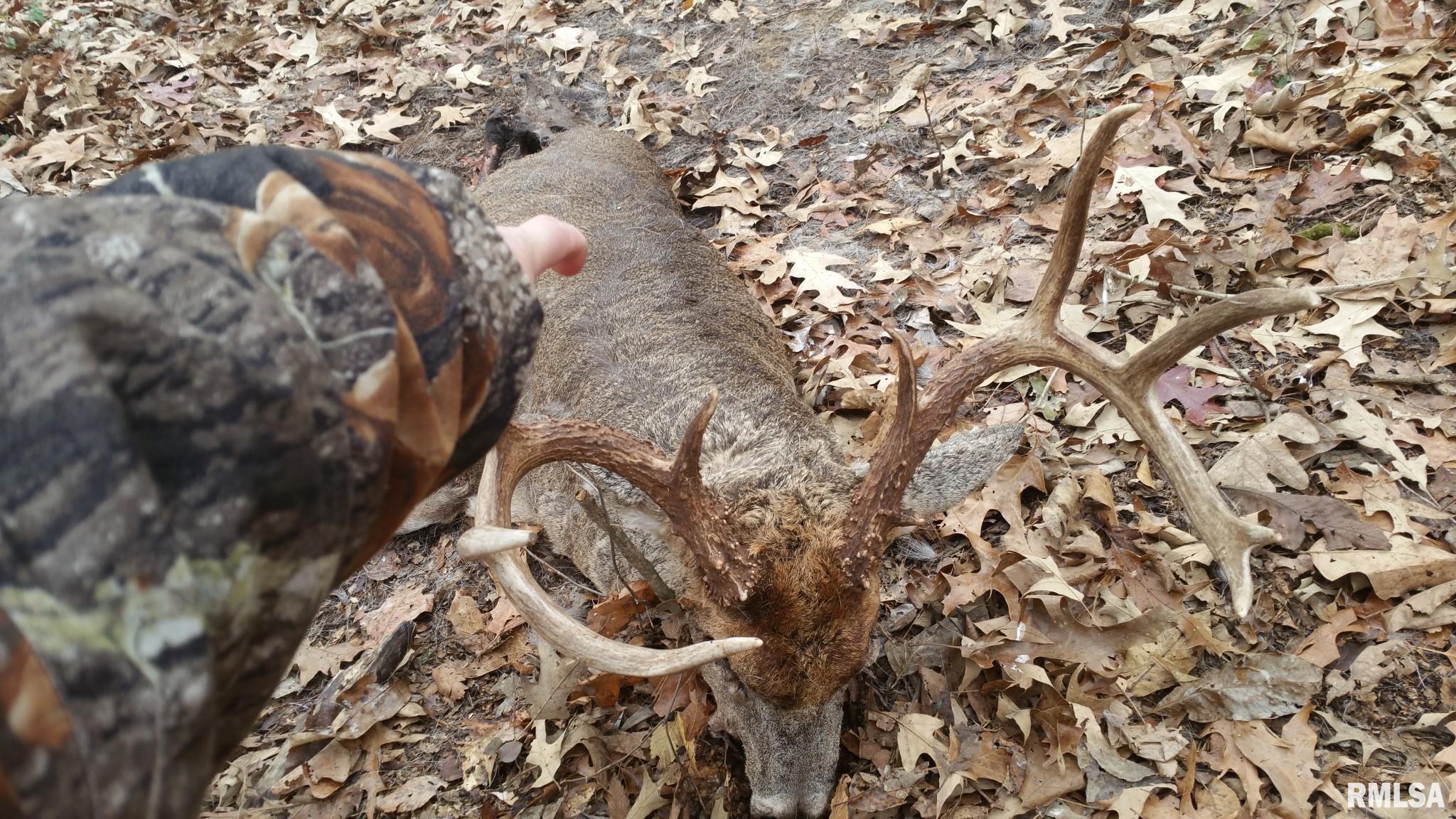 0 Route 166 Route Creal Springs, IL 62922 - Photo 7 of 53