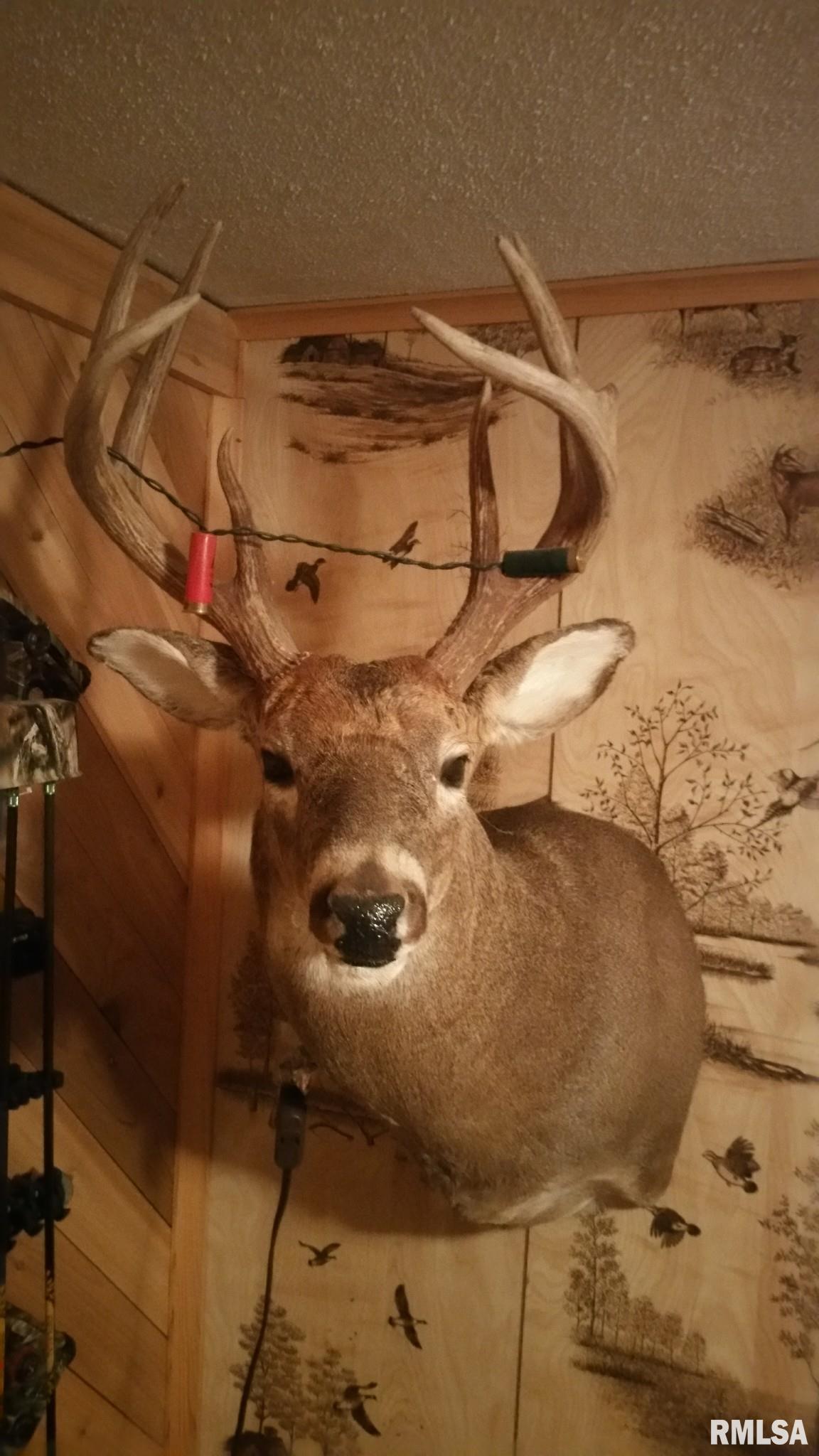 0 Route 166 Route Creal Springs, IL 62922 - Photo 8 of 53