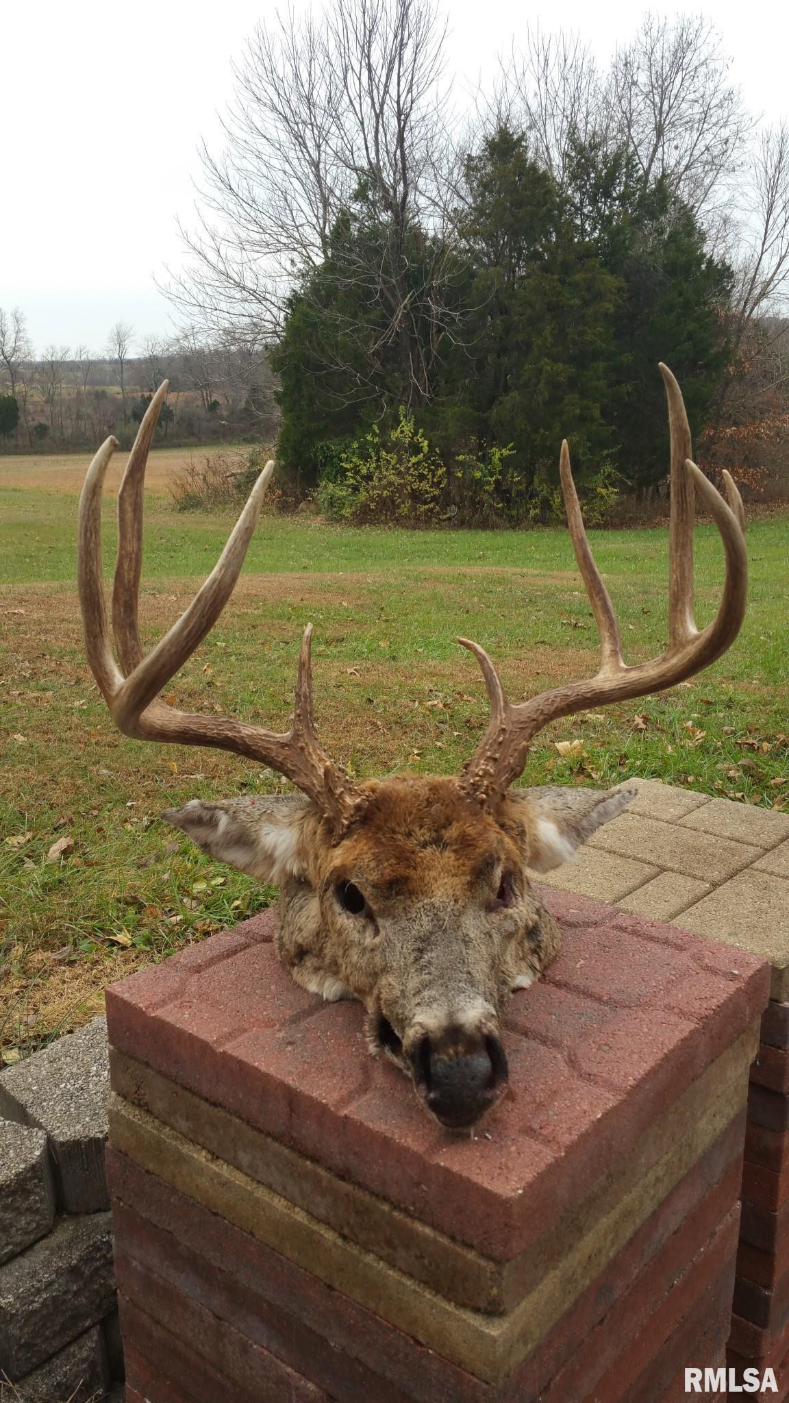 0 Route 166 Route Creal Springs, IL 62922 - Photo 9 of 53