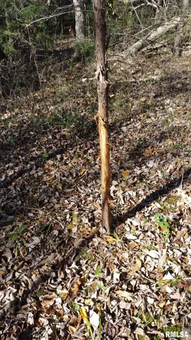 $390,000 | 0 Route 166 Route, Creal Springs, IL 62922