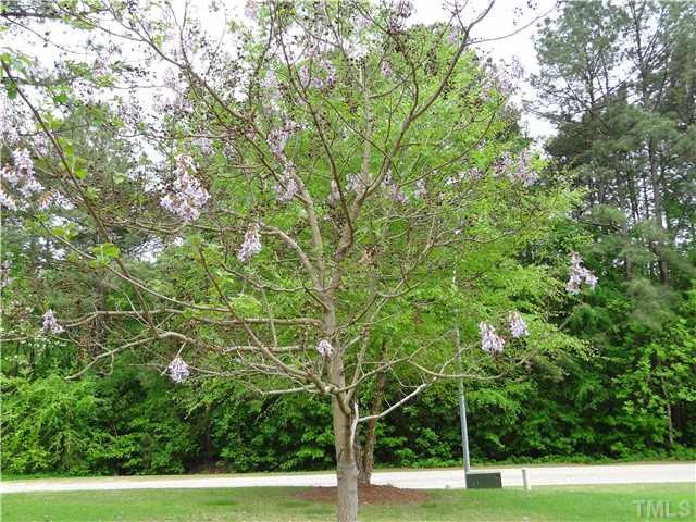 37 Austin Pond Road Clayton, NC 27520 - Photo 23 of 24 Photo 23