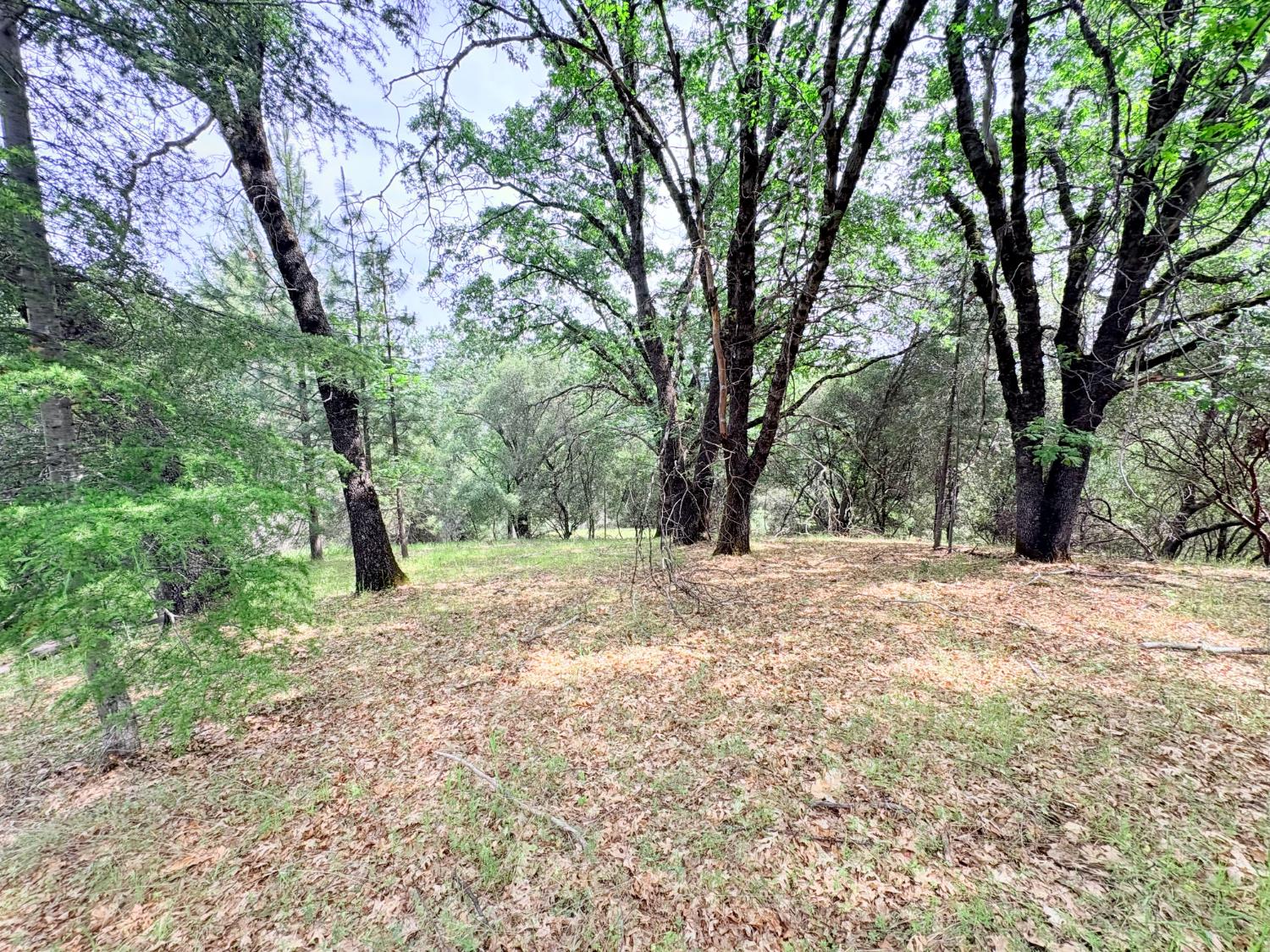 12063 Woodacre Road Grass Valley, CA 95949 - Photo 72 of 73