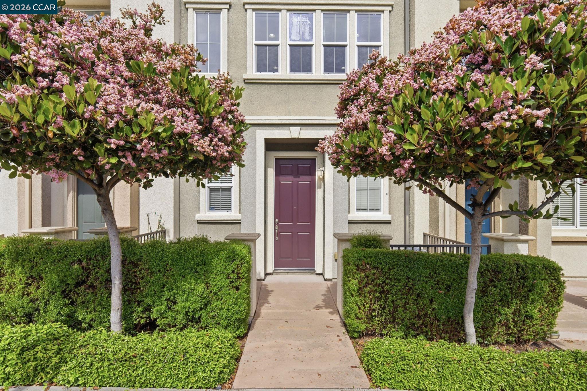 252 Sullivan Way Hayward, CA 94541 - Photo 3 of 55 front view of a house with a small yard