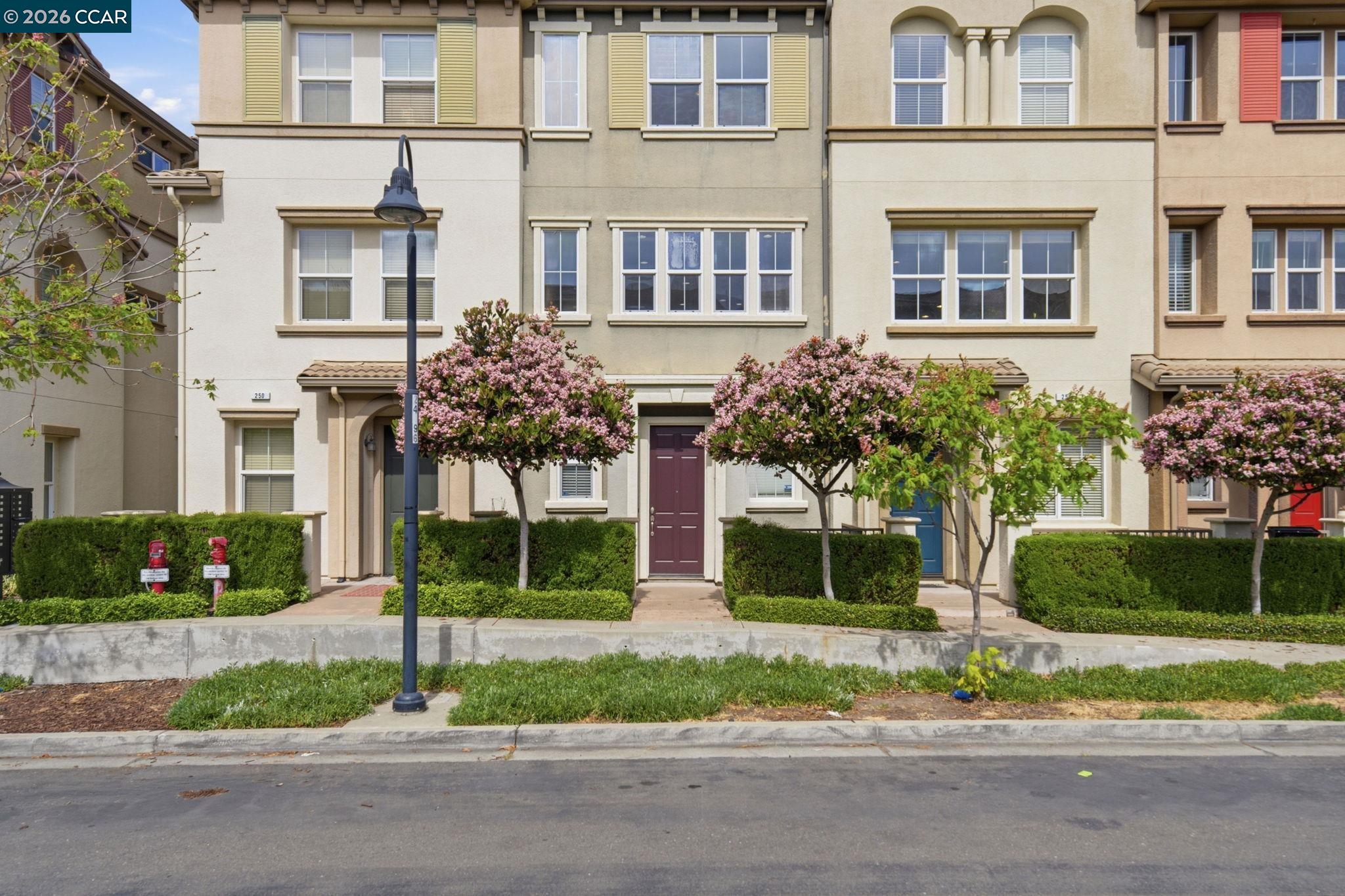 252 Sullivan Way Hayward, CA 94541 - Photo 4 of 55 front view of house with a yard