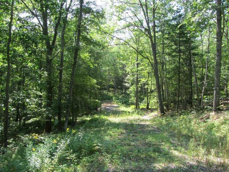 Lot B Parsons Point Road Edgecomb, ME 04556 - Photo 5 of 11 Land. Road on property