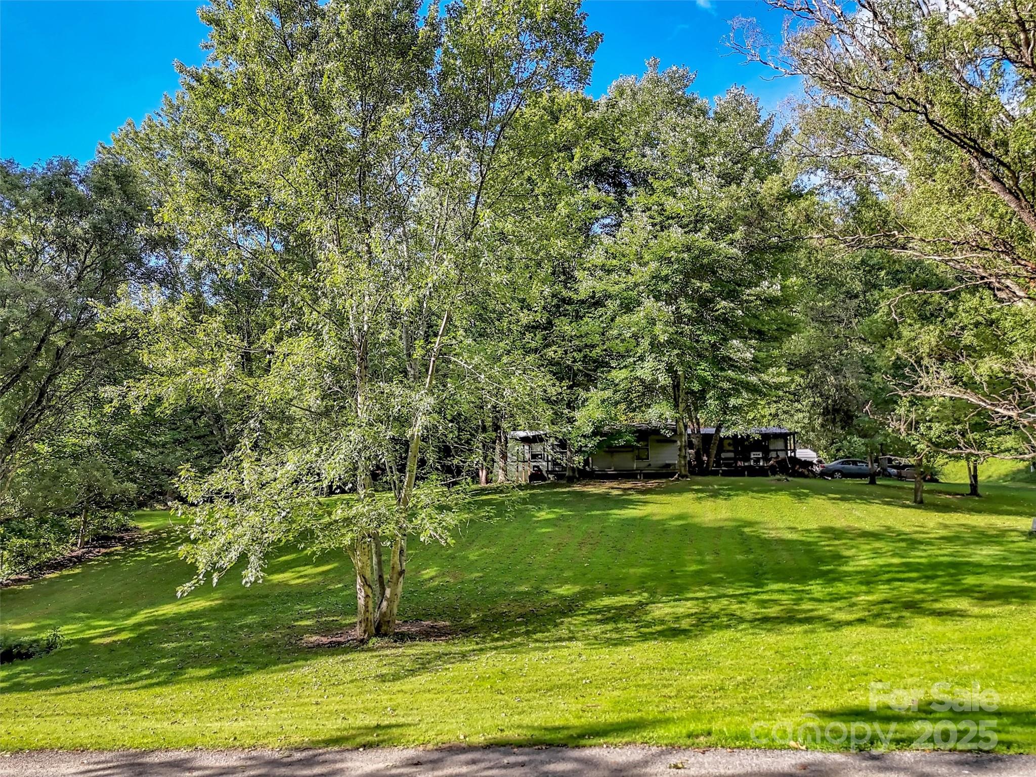 323 Jody Cove Road Canton, NC 28716 - Photo 11 of 28
