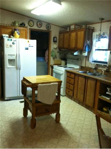 185 Macedonia Road Castalian Springs, TN 37031 - Photo 11 of 15 KITCHEN