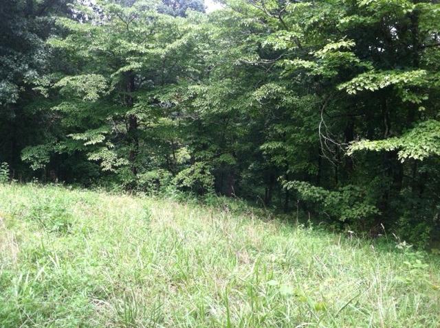 185 Macedonia Road Castalian Springs, TN 37031 - Photo 13 of 15 WOODS