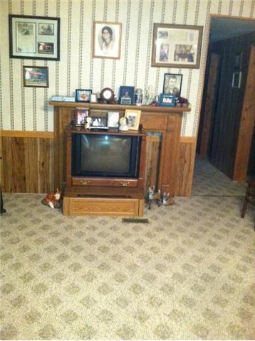 185 Macedonia Road Castalian Springs, TN 37031 - Photo 14 of 15 LIVINGROOM