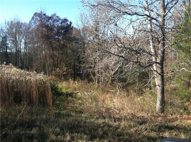 185 Macedonia Road Castalian Springs, TN 37031 - Photo 15 of 15 WHERE THE DEER HANG OUT