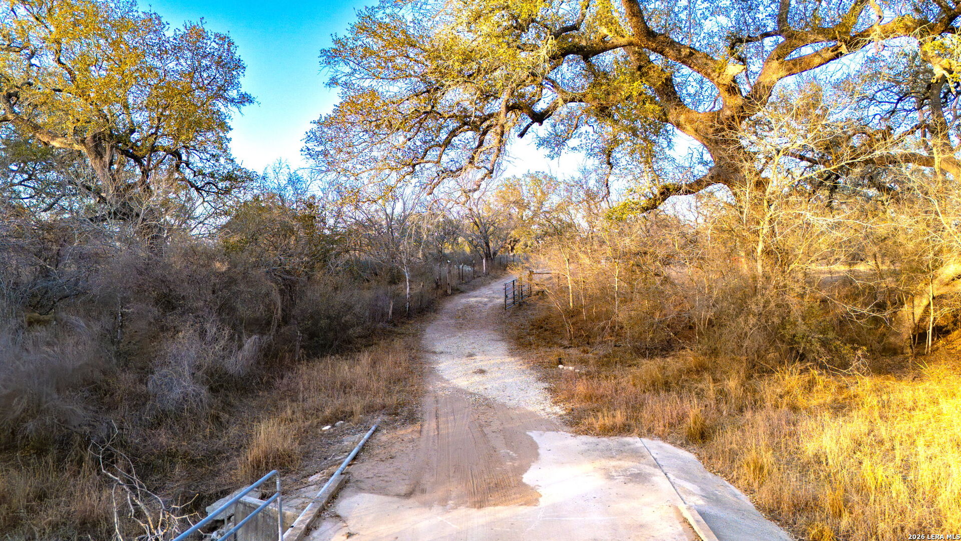 2383 Tomblin Road Bigfoot, TX 78005 - Photo 58 of 61 a view of a yard with a tree