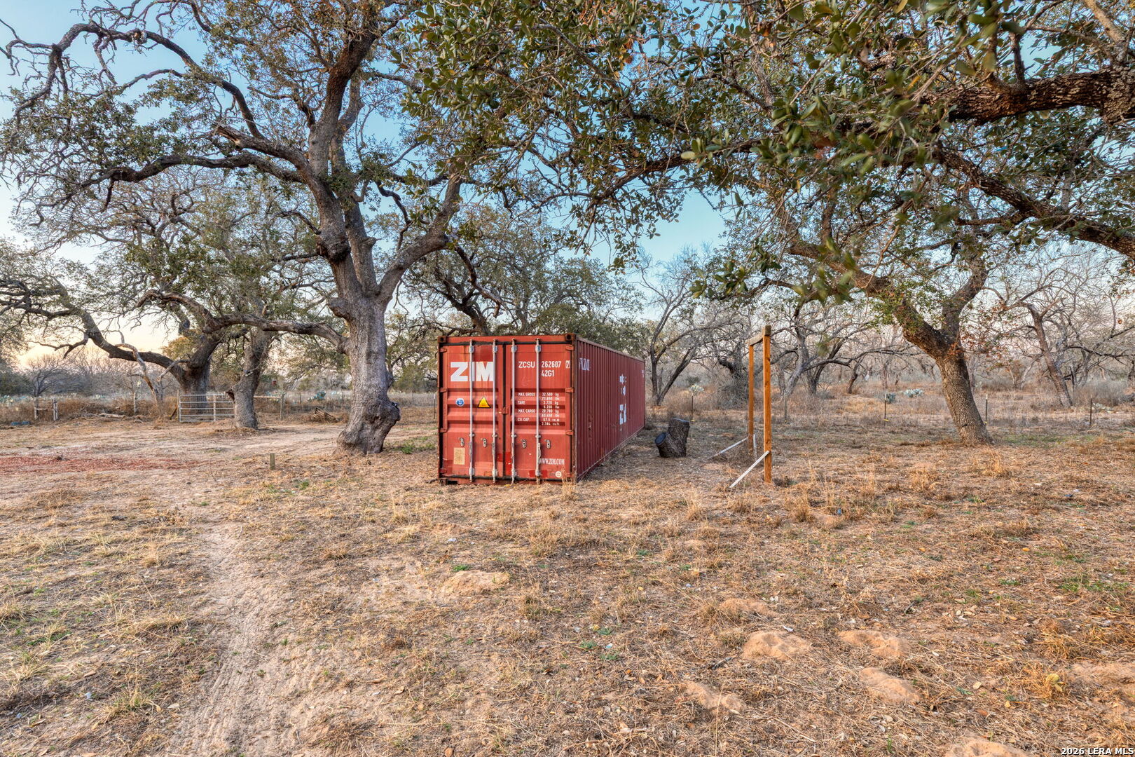 2383 Tomblin Road Bigfoot, TX 78005 - Photo 60 of 61 a view of a yard with large trees
