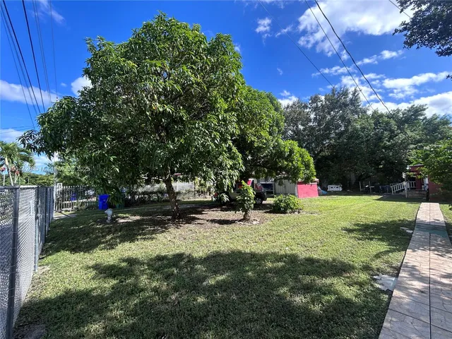 a view of a park with large trees