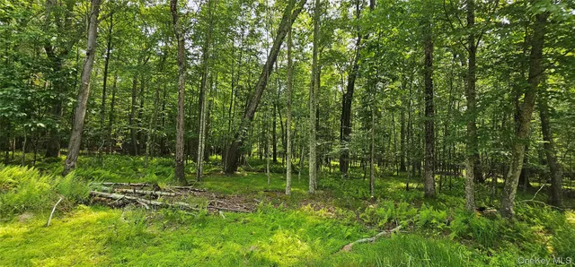 a view of outdoor space and green space