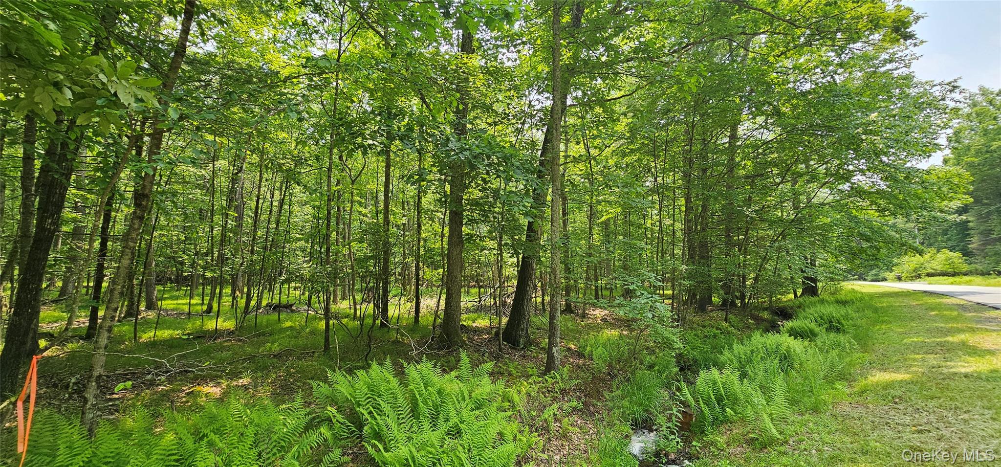 Lot 3 Woods Road Barryville, NY 12719 - Photo 12 of 13 a view of yard with green space