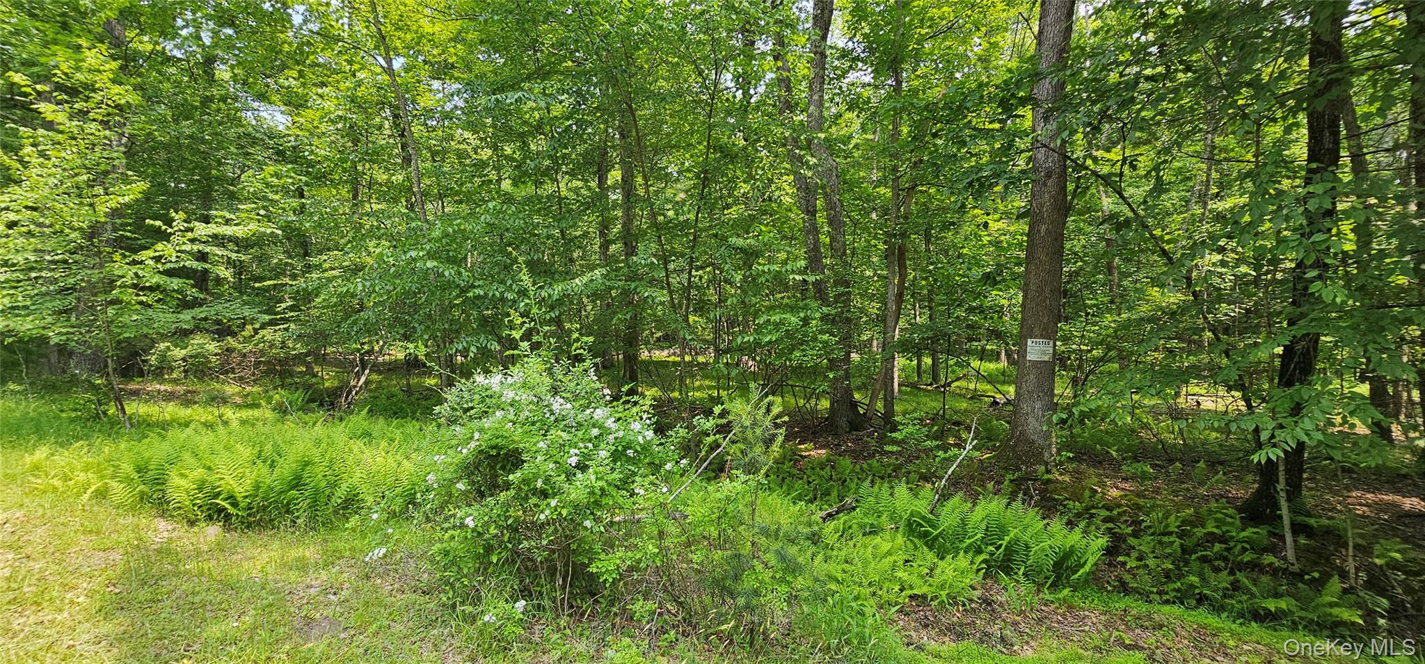 Lot 3 Woods Road Barryville, NY 12719 - Photo 13 of 13 a view of a lush green forest