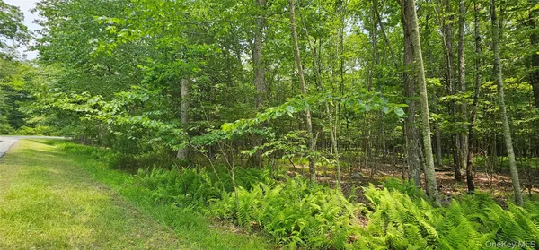 a view of a garden