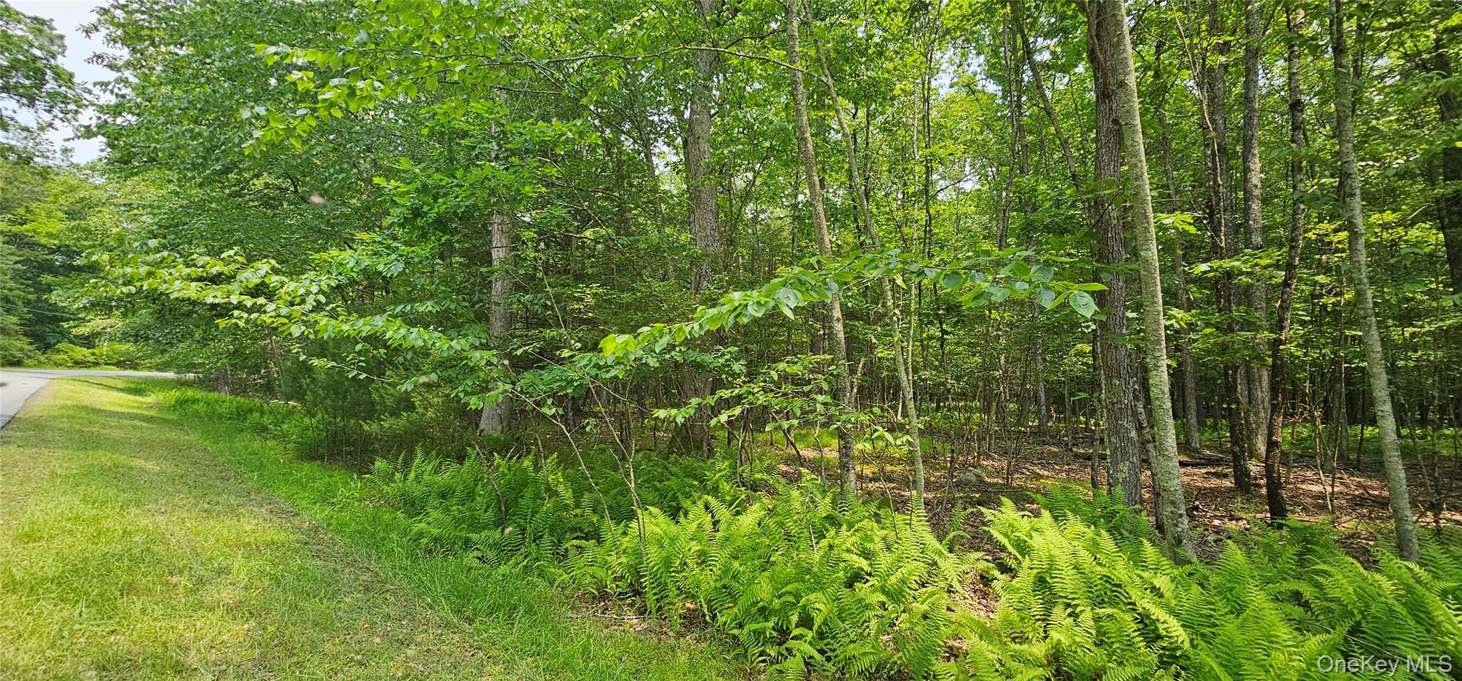 Lot 3 Woods Road Barryville, NY 12719 - Photo 2 of 13 a view of a garden