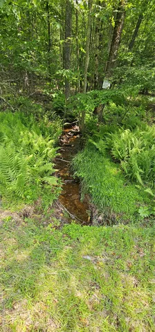 a backyard of a house with lots of green space and plants