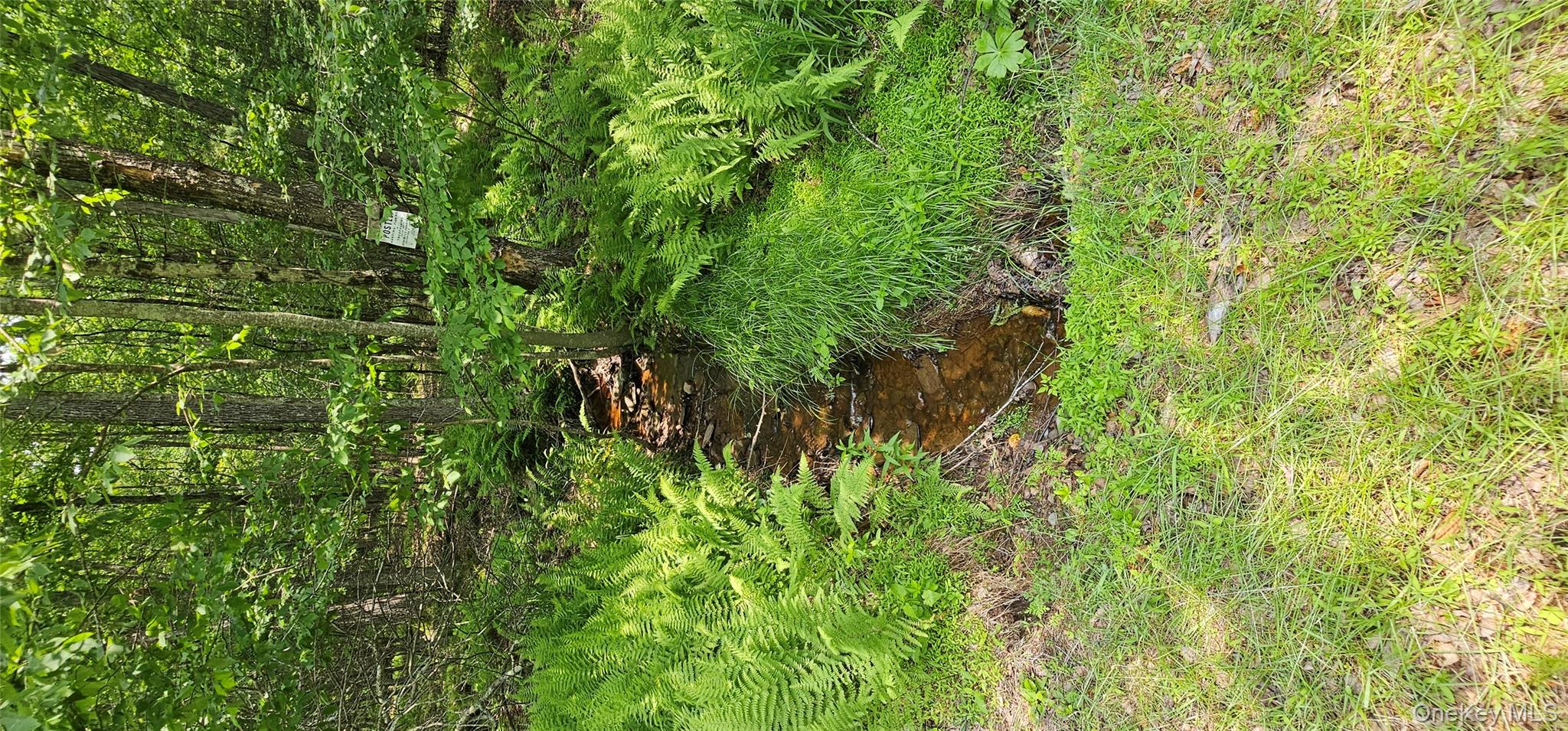 Lot 3 Woods Road Barryville, NY 12719 - Photo 3 of 13 a backyard of a house with lots of green space and plants