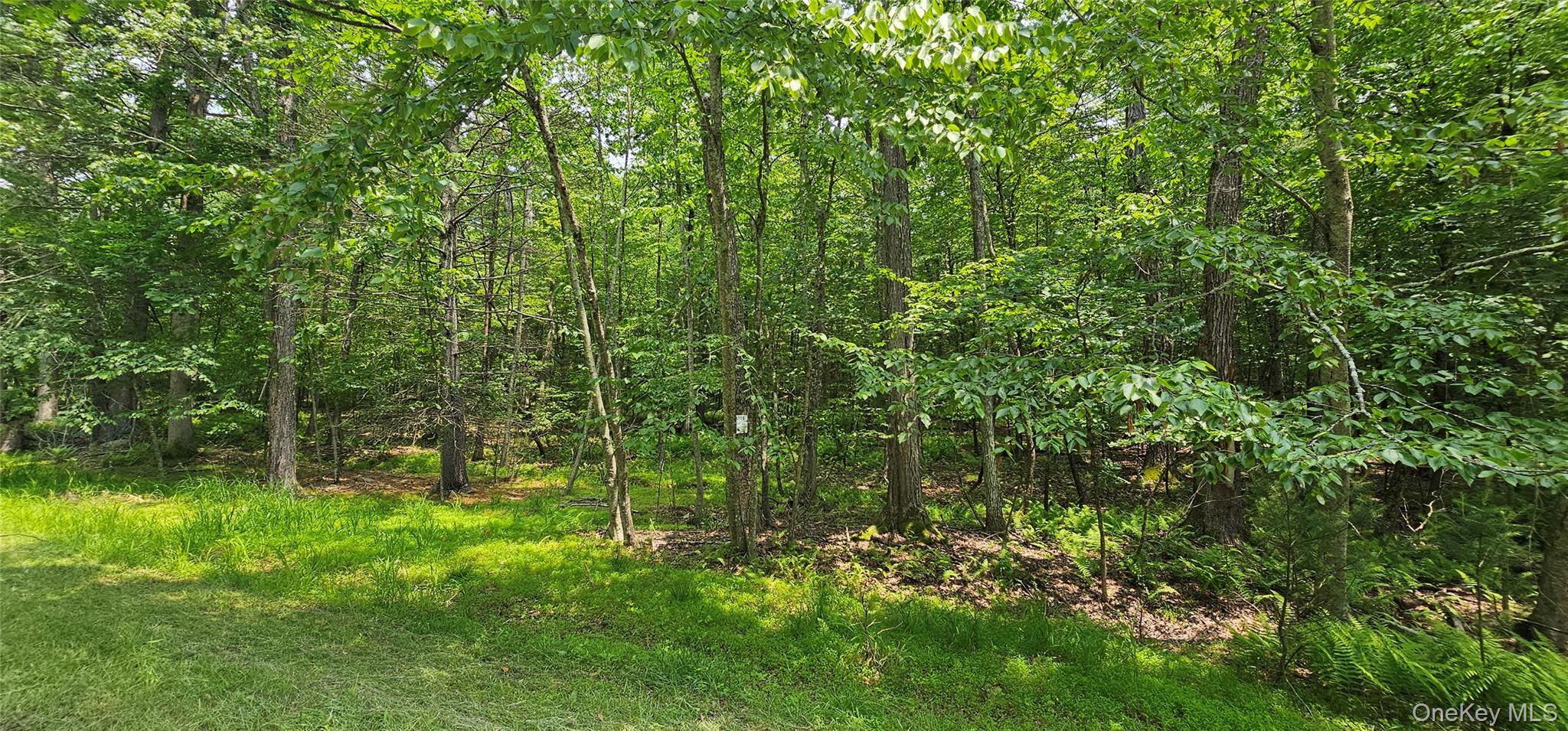Lot 3 Woods Road Barryville, NY 12719 - Photo 5 of 13 a view of a lush green space