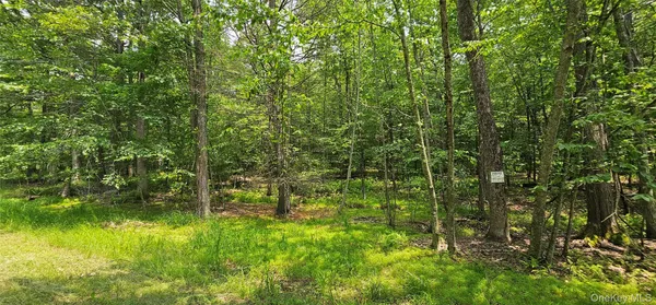 a view of a garden