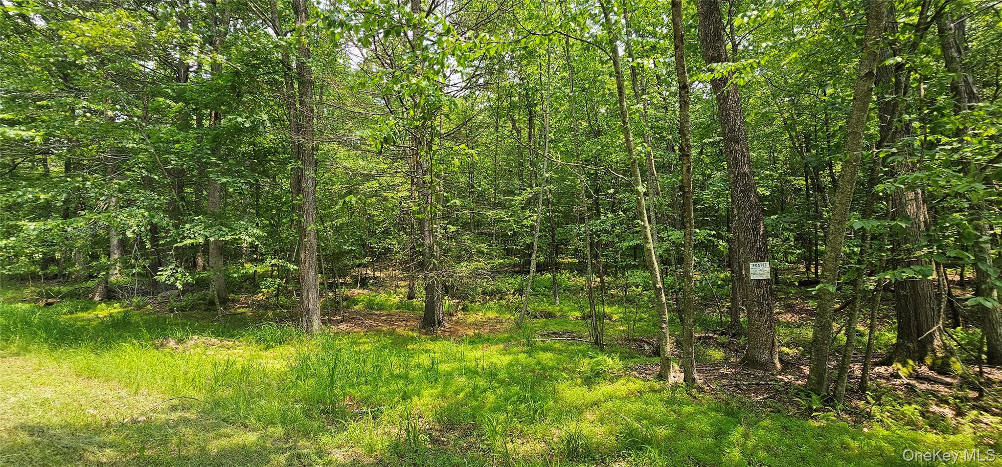 Lot 3 Woods Road Barryville, NY 12719 - Photo 6 of 13 a view of a garden