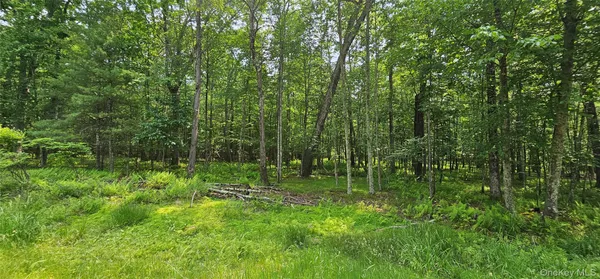 a green field with lots of bushes