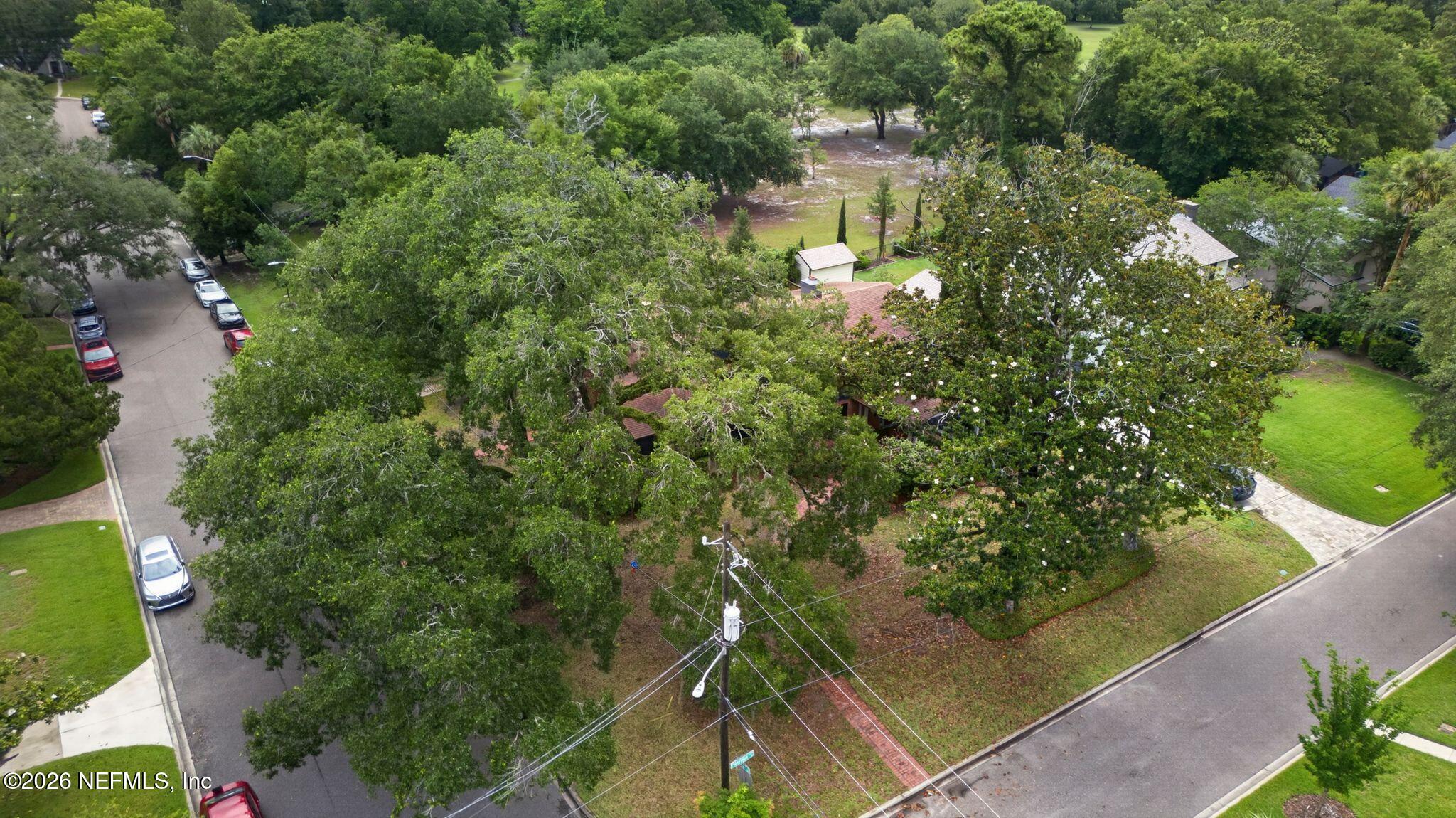 2405 Pineridge Road Jacksonville, FL 32207 - Photo 50 of 63 51_2405 Pineridge Road-150