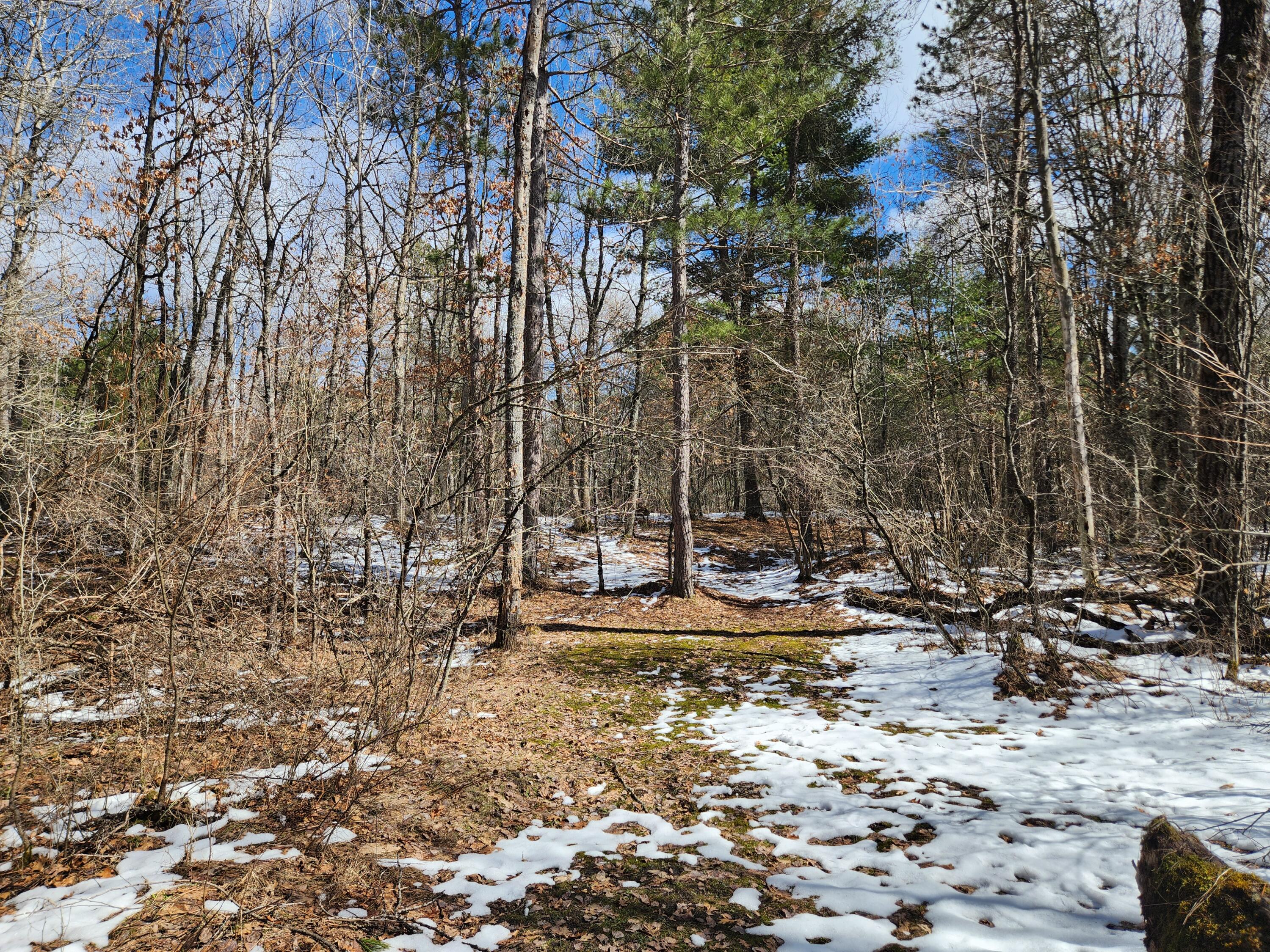 5247 North Access Road Irons, MI 49644 - Photo 18 of 25 20260323_151948