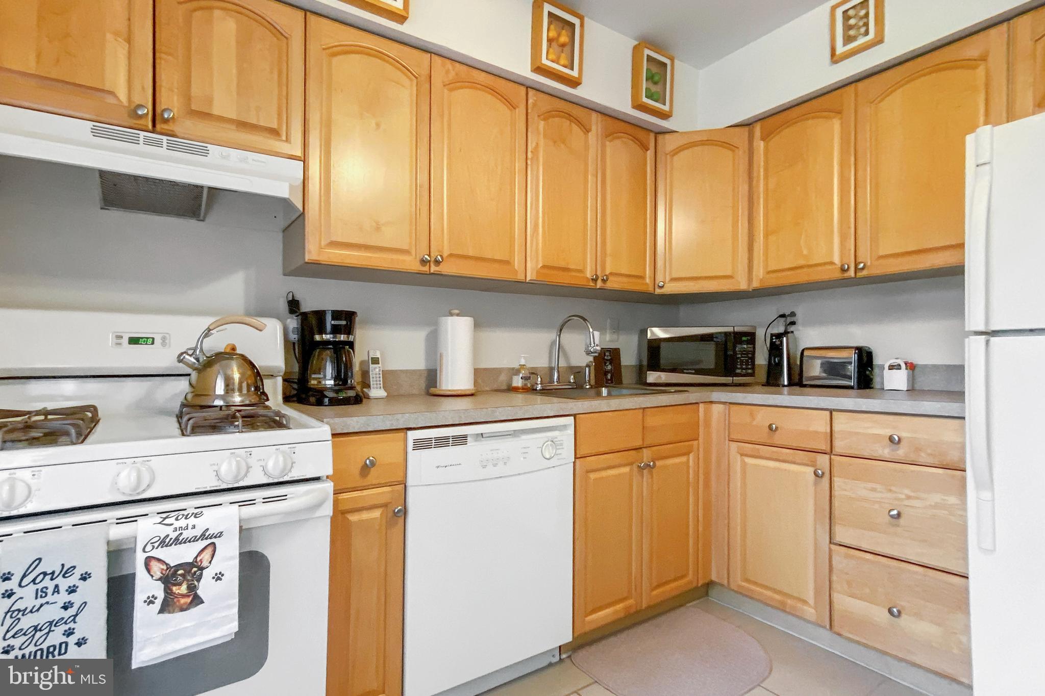 69 Chelsea Circle, Unit A156 Clementon, NJ 08021 - Photo 10 of 19 Gallery Image 10