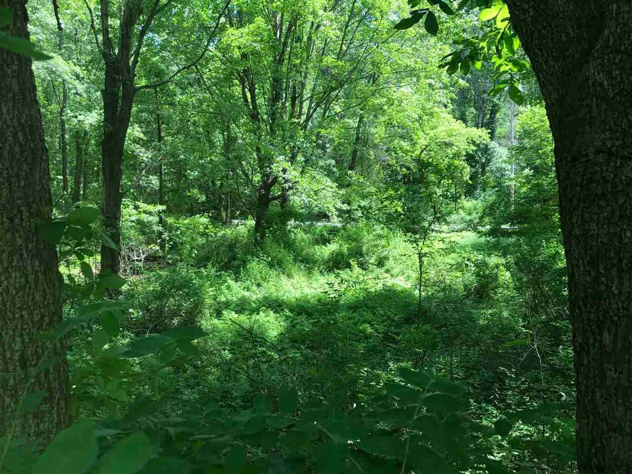 Tbd Grist Mill Road Rosendale, NY 12472 - Photo 11 of 12 Photo 11