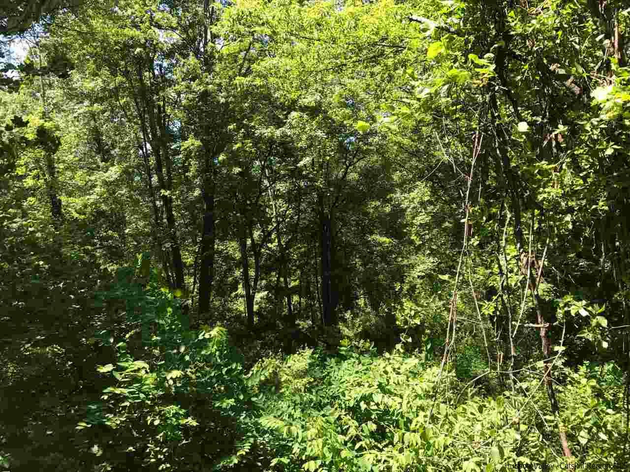 Tbd Grist Mill Road Rosendale, NY 12472 - Photo 12 of 12 Photo 12